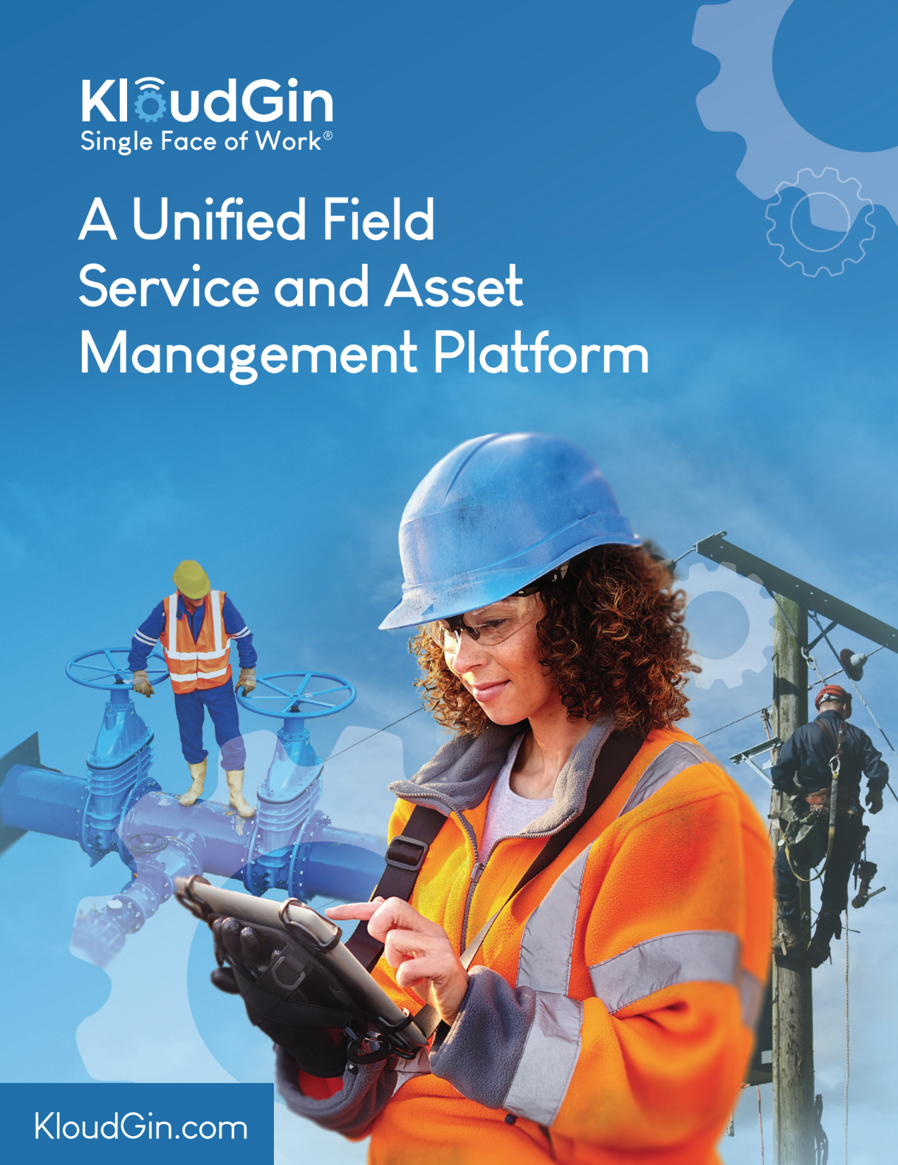 filed service and asset management platform brochure