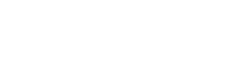 IDC logo