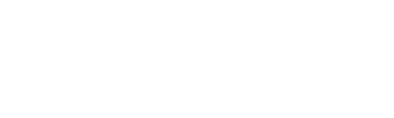 logo_website_omnia-04