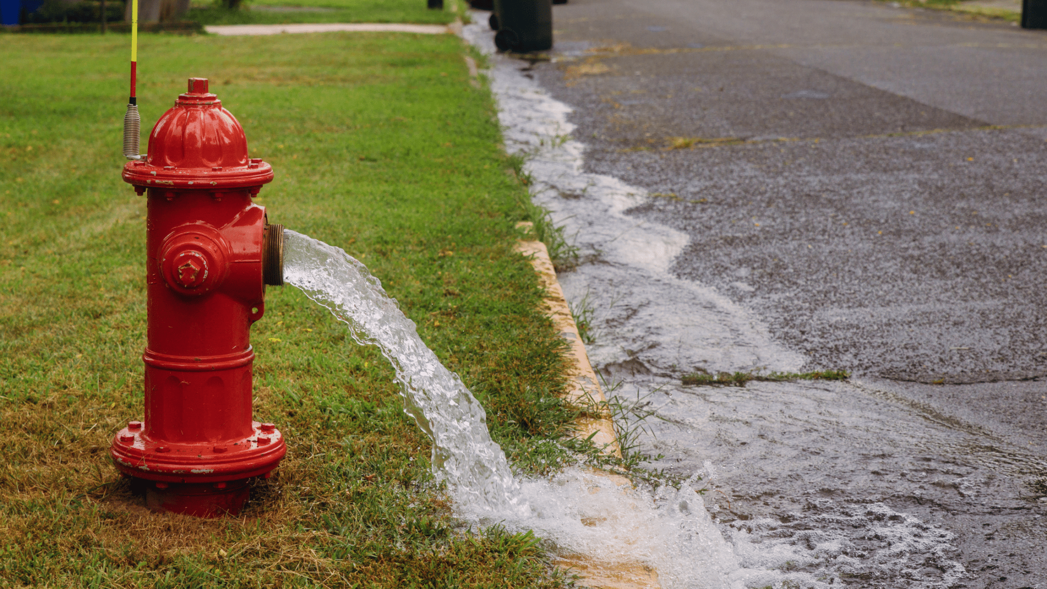 Hydrant Inspection and Flushing
